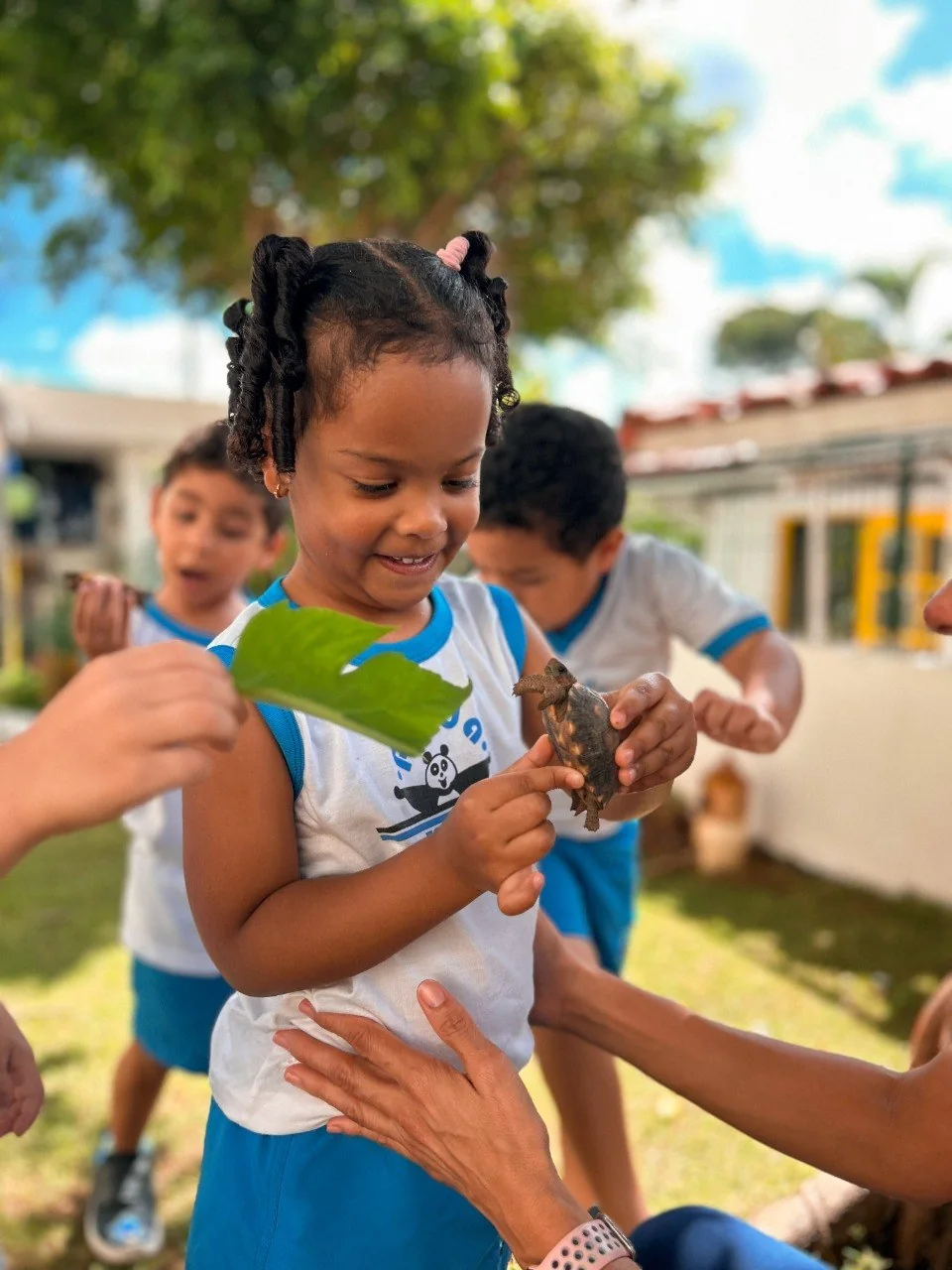Criança em contato com tartaruga na área verde